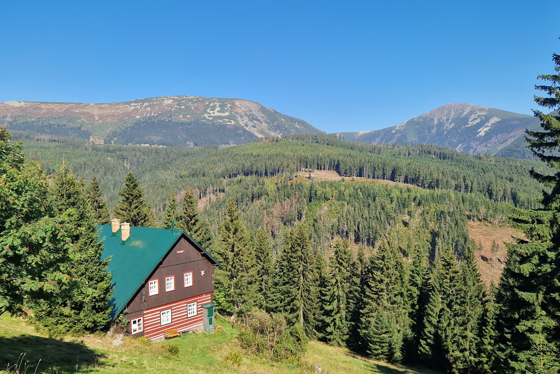 Malá svatba nebo oslava